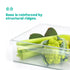 Fridge Storage Container - XL